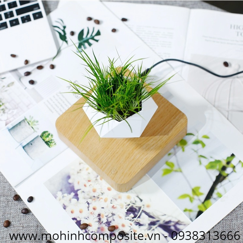 chau hoa mini composite dep22 1 945 - Chậu cây mini từ khí bonsai chất lượng cao 600x600x500mm